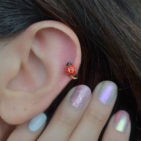 Ladybug Ring Piercing for Helix, Tragus,  Cartilage